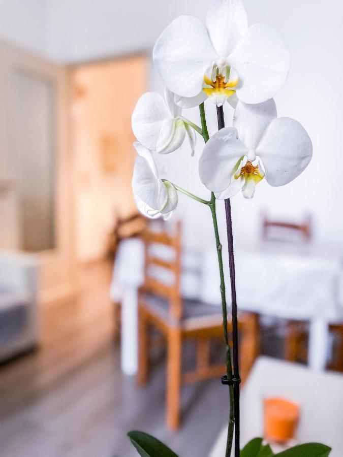 Myhouse Inn Marche - Affitti Brevi Italia 토리노 외부 사진